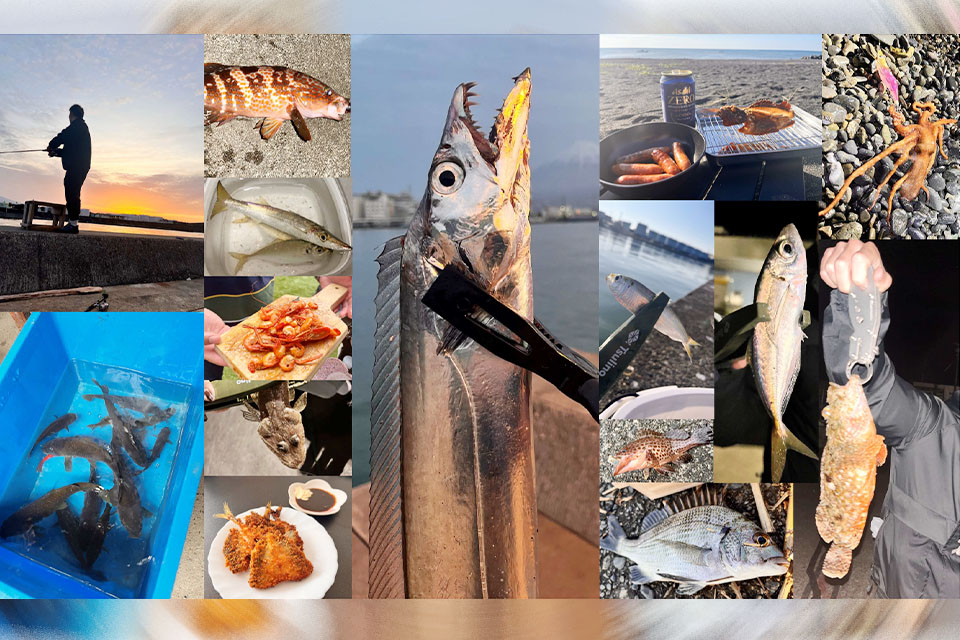 静岡釣り部