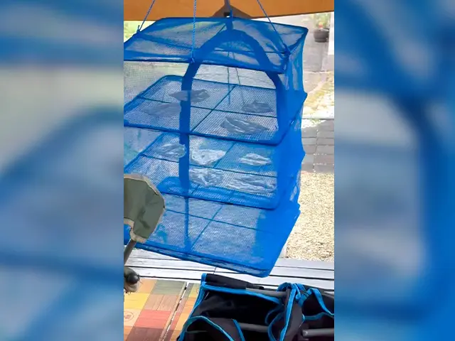 20250812